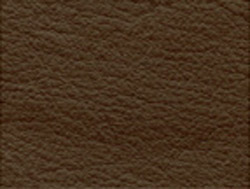 brown color swatch