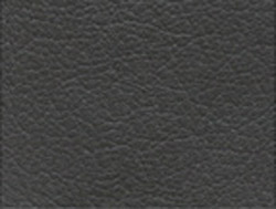 charcoal color swatch