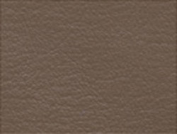 oak color swatch