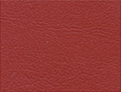 red color swatch