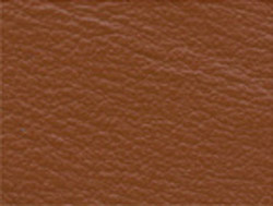tan color swatch