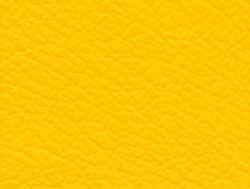 yellow color swatch